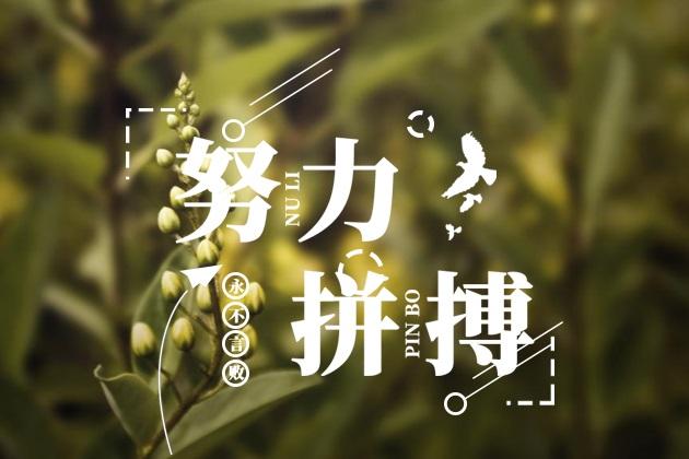  給我一份信任，還你10分滿意(圖4)